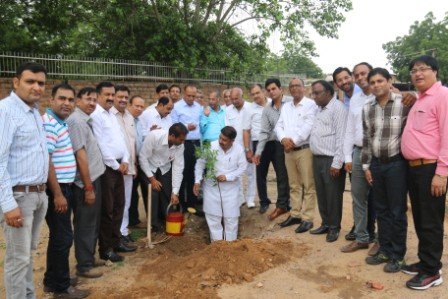 MIA 15-aug-2015-Tree Plantation