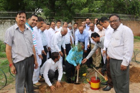 MIA 15-aug-2015-Tree Plantation